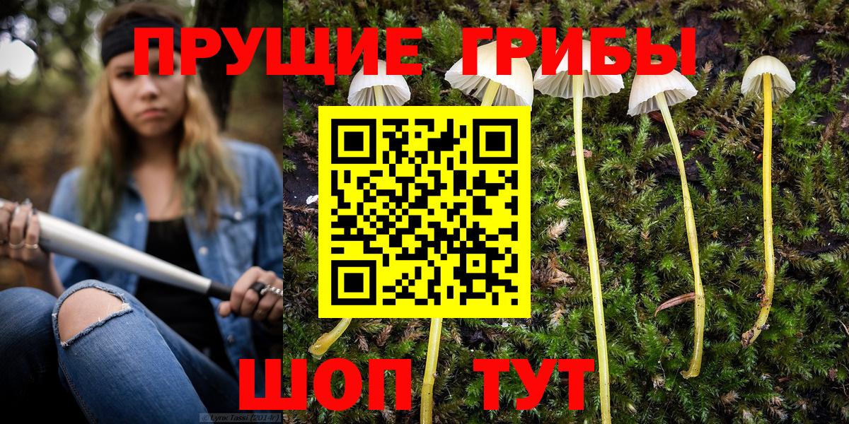 Щёлково  Псилоцибиновые грибы Psilocybe  Вход с VPN  Галлюциногенные грибы GOLDEN TEACHER 