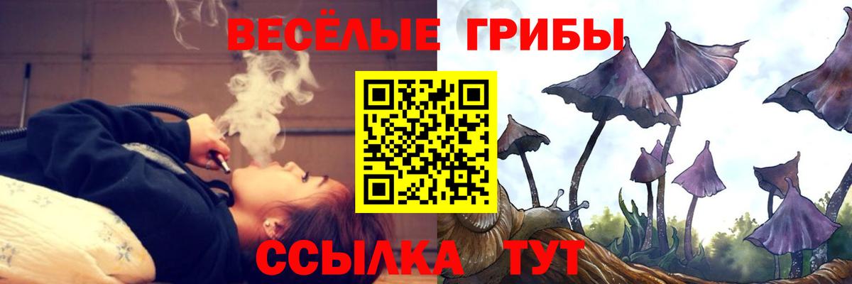 Псилоцибиновые грибы мицелий Щёлково
